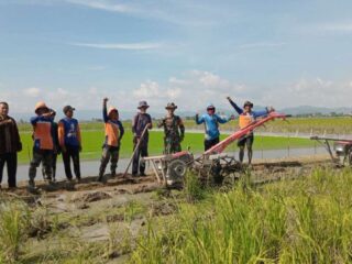 Babinsa dan PPL Dampingi Kelompok Tani Ingerrang Olah Lahan Sawah di Kanyuara