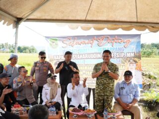 Dandim 1420 dan Bupati Panen Raya Padi Tadah Hujan, Targetkan Stok Pangan Nasional